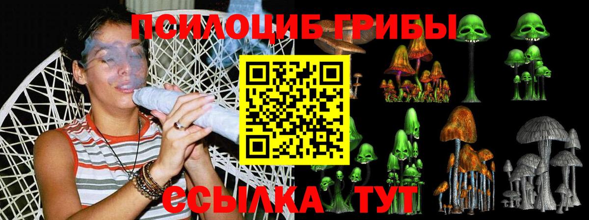 Галлюциногенные грибы мицелий Бутурлиновка