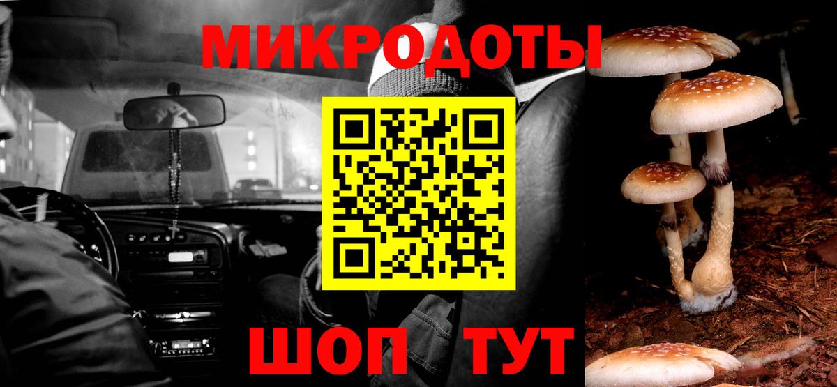 Галлюциногенные грибы Psilocybine cubensis  Галлюциногенные грибы Cubensis  Вход с VPN  Бутурлиновка 